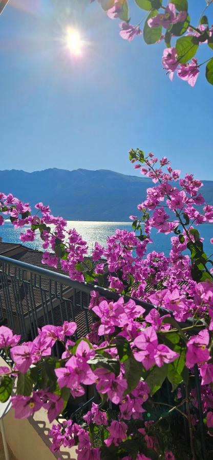 Paesaggio naturale nelle vicinanze dell'hotel