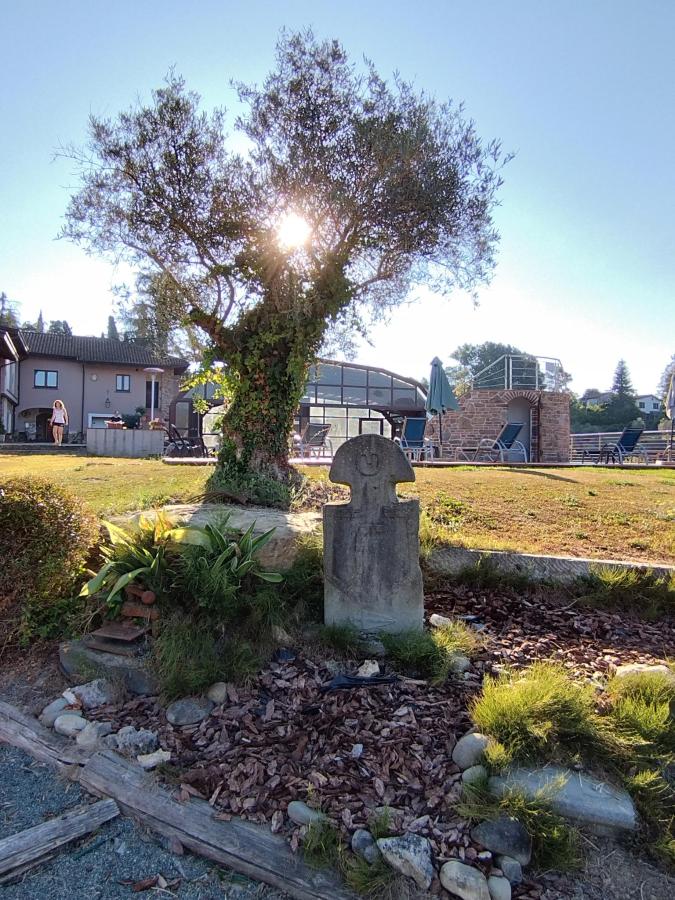 Giardino di B&B Podere Montese