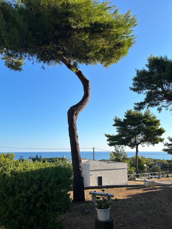 Paesaggio naturale nelle vicinanze dell'aparthotel