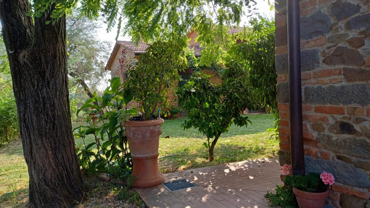 Giardino di Le Mimose B&B