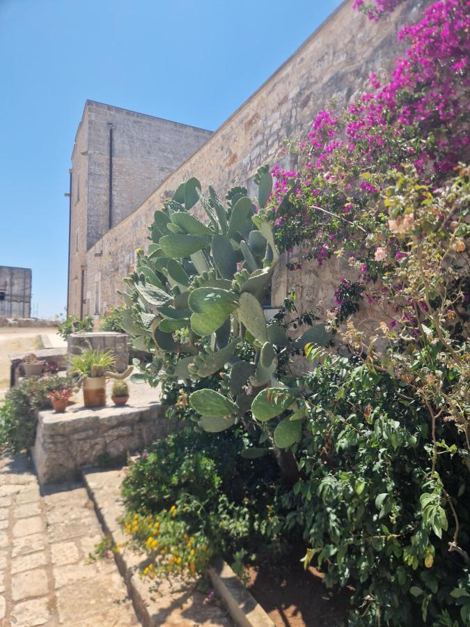 Giardino di Masseria San Paolo Grande