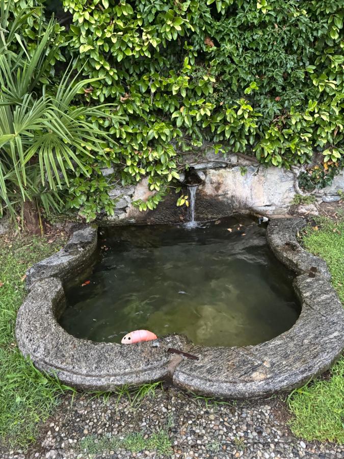 Giardino di Residence Oleandro