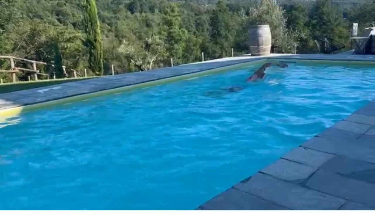 Piscina di Agriturismo I Giunchi o nelle vicinanze