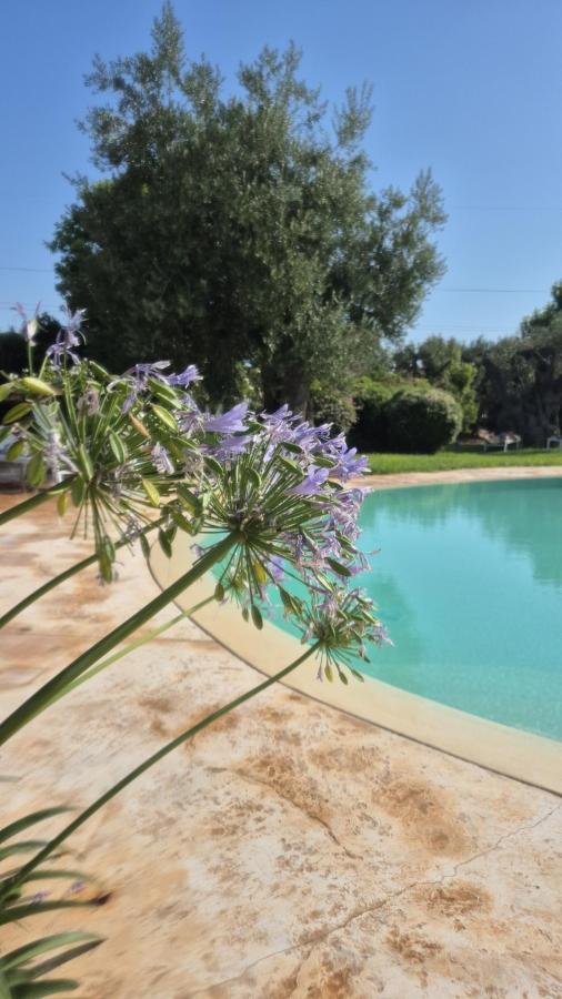 Piscina di Isola Verde Agriturismo o nelle vicinanze