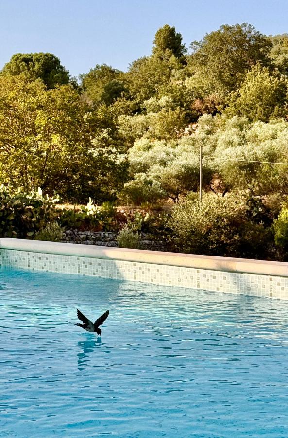 Piscina di Tenuta Marinelli o nelle vicinanze