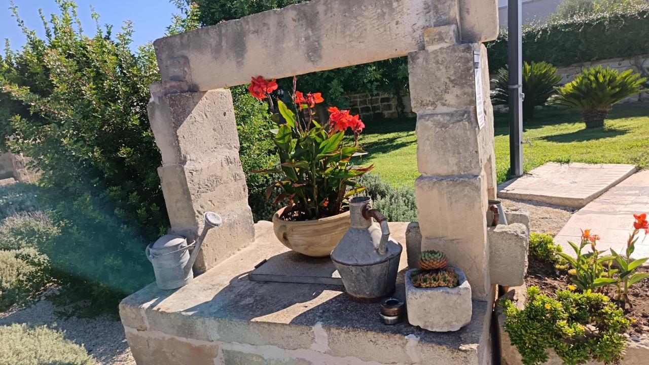 Giardino di Il Giardino Del Tiglio
