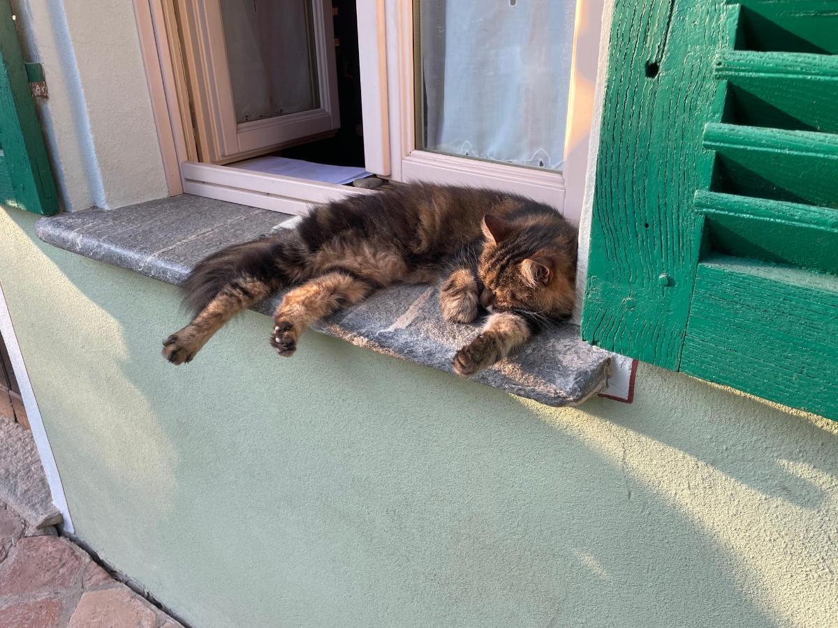 Ospiti di Cà San Ponzio country house & SPA con animali domestici