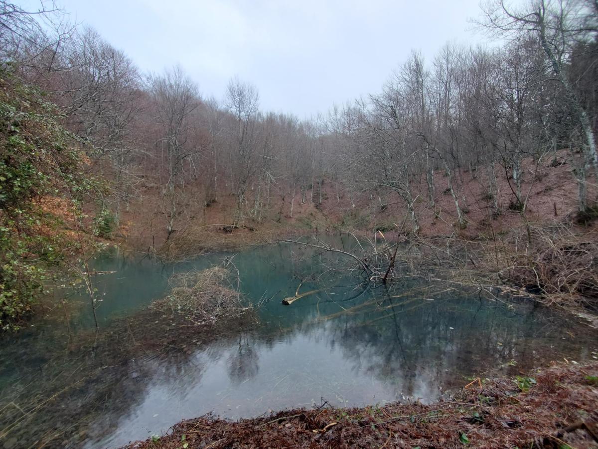 Paesaggio naturale nelle vicinanze dell'hotel