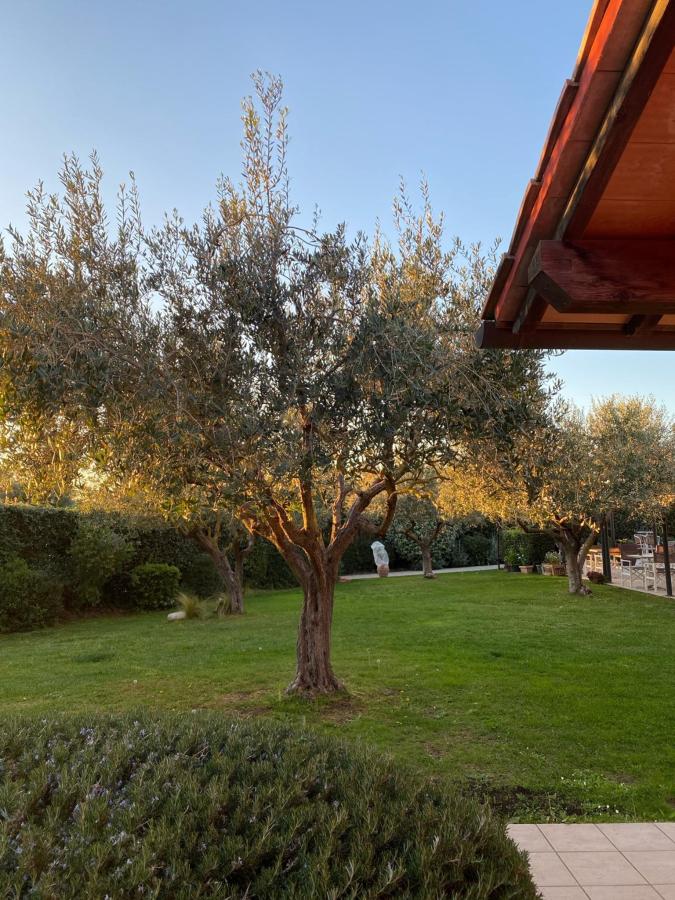 Giardino di Hotel La Posta di Torrenova