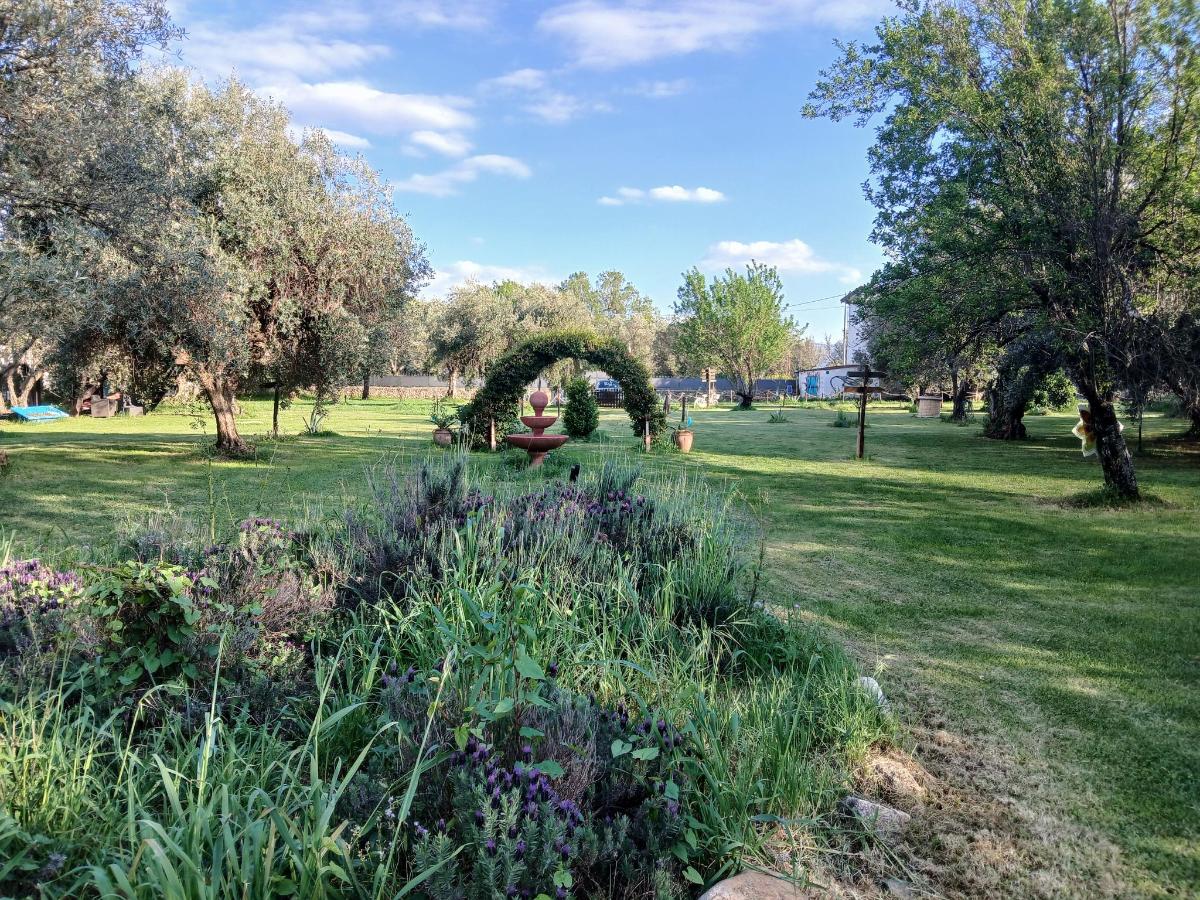 Giardino di Palazzo Conforti Tree House Resort