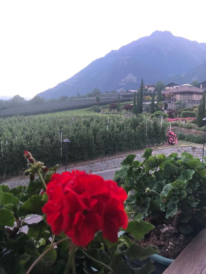 Vista generica sulle montagne o vista sulle montagne dall'interno dell'affittacamere