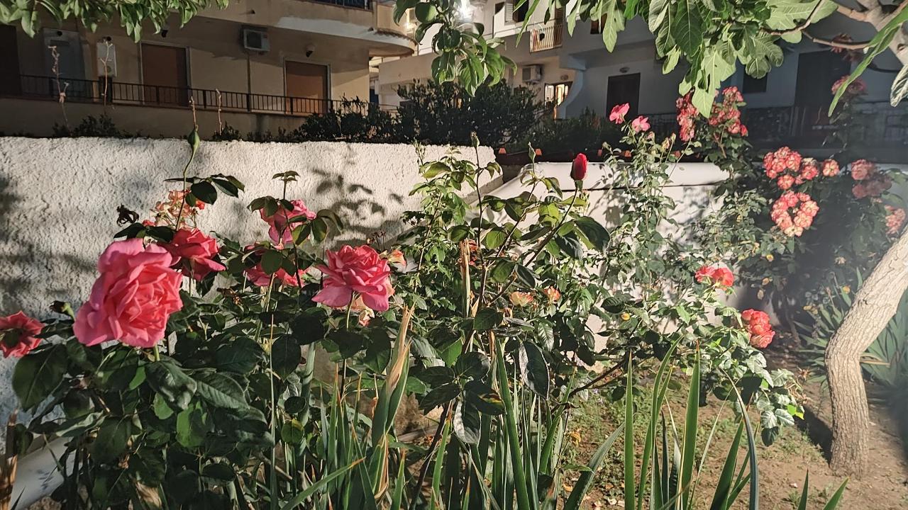 Giardino di La Bussola Hotel Calabria