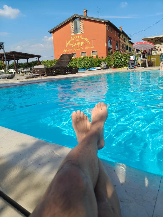 Piscina di Agriturismo dei Grippi o nelle vicinanze