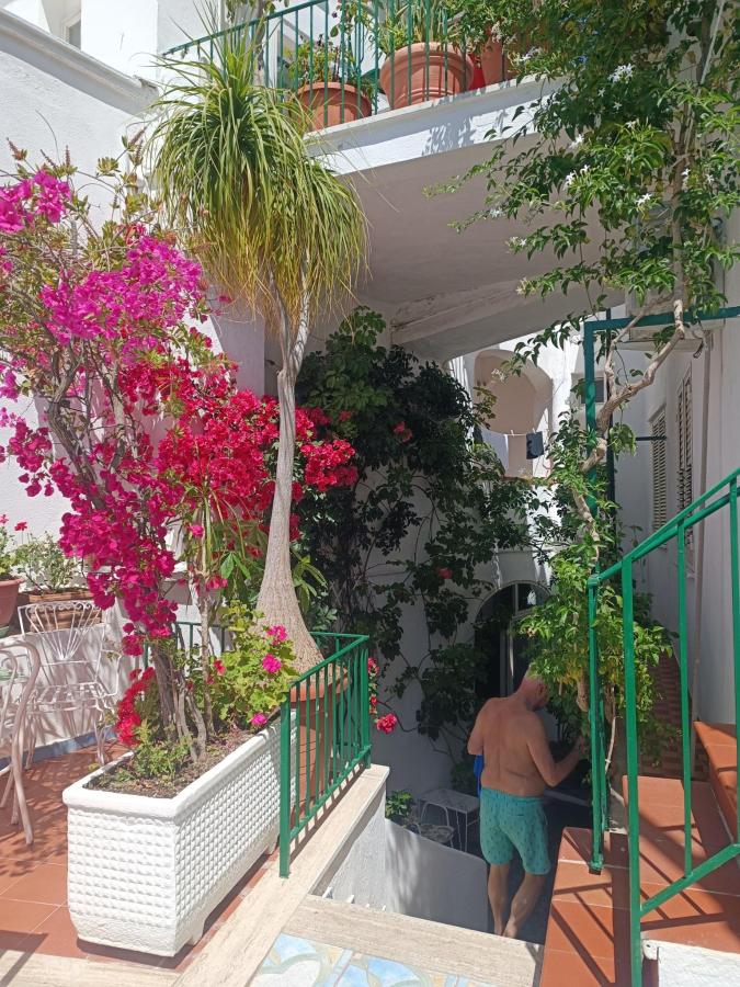 Giardino di Hotel la Maggioressa