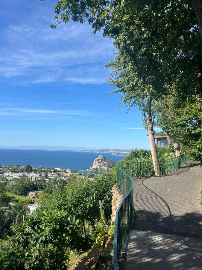 Paesaggio naturale nelle vicinanze dell'hotel