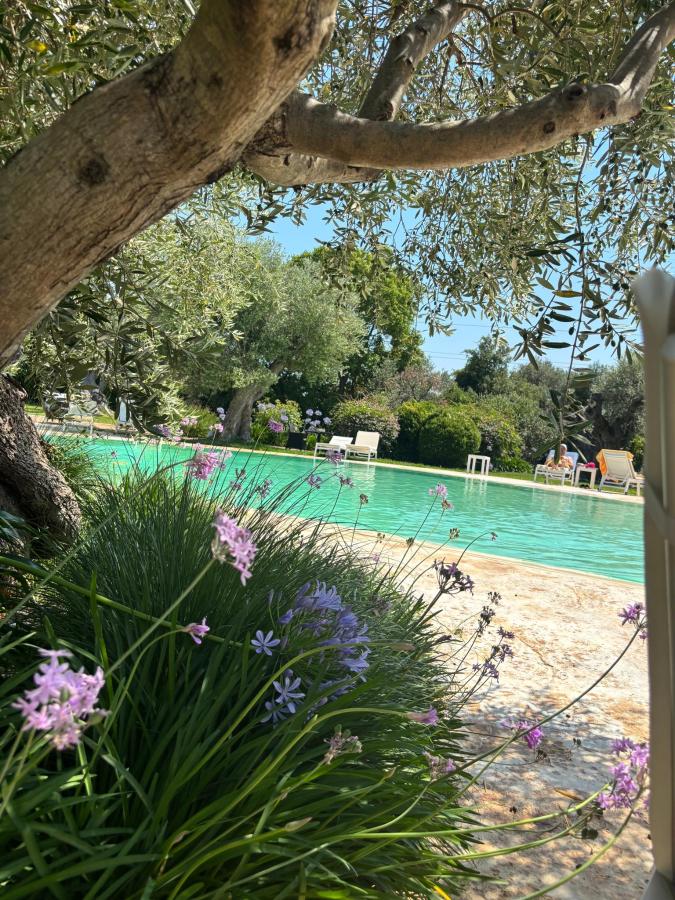 Piscina di Isola Verde Agriturismo o nelle vicinanze