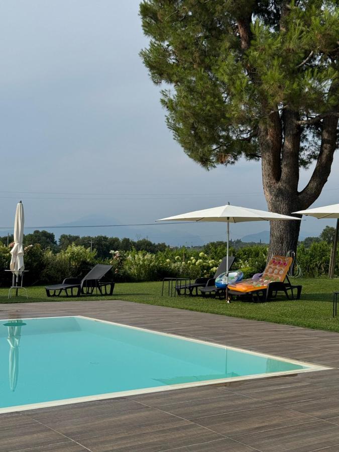 Piscina di Agriturismo Colle Dei Pivi o nelle vicinanze