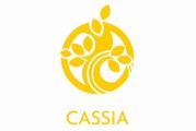 Cassia