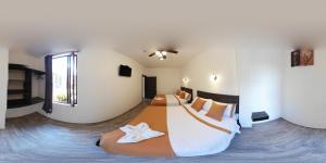 Foto dalla galleria di Toucan Platinum Suites Aparthotel a Mindo