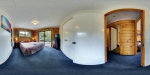 Foto dalla galleria di Rainforest Deluxe a Franz Josef