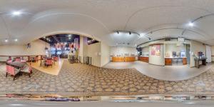 Gallery image of Comfort Suites Chicago O'Hare Airport in Schiller Park