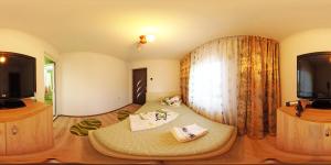 Gallery image of Pensiunea Mariana in Baia de Fier