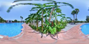 Fotografie z fotogalerie ubytování Villaggio Alkantara v destinaci Giardini Naxos