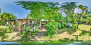 Foto Berliinis asuva majutusasutuse Sandino Summer Camp galeriist