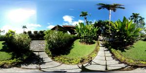 Gallery image of Arenal Backpackers Resort in Fortuna