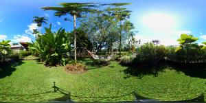 Gallery image of Arenal Backpackers Resort in Fortuna
