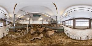 Gallery image of Tradition Julen Hotel in Zermatt