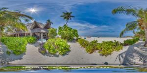Gallery image of SeVi Boutique Hotel in Matemwe