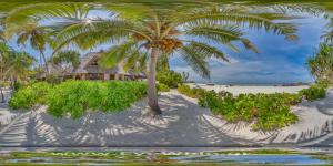 Gallery image of SeVi Boutique Hotel in Matemwe