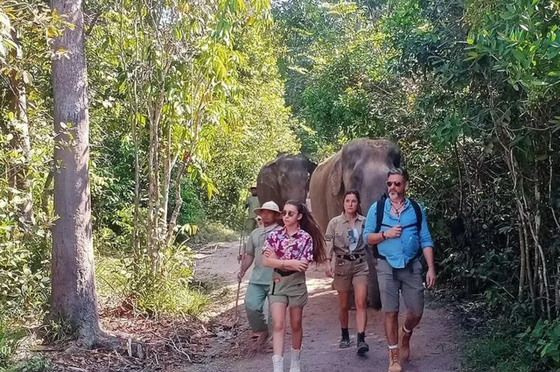 Featured tour with 3 reviews: Kulen Elephant Forest and Tonle Sap Lake by Private Tour