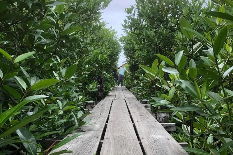 Kampot Countryside Tour – Pepper Farm, Salt Lake, Caves, and more