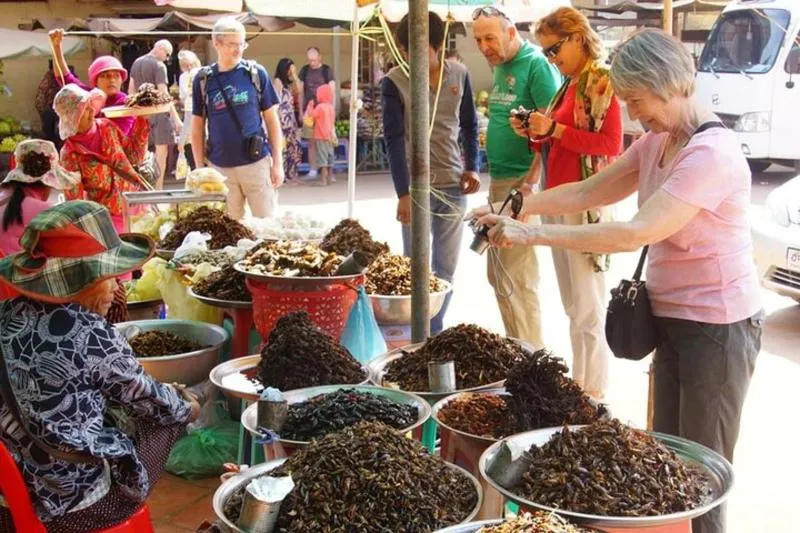 Premium highlight tour: The Journey Phnom Penh to/from Siem Reap: A Memorable Tour