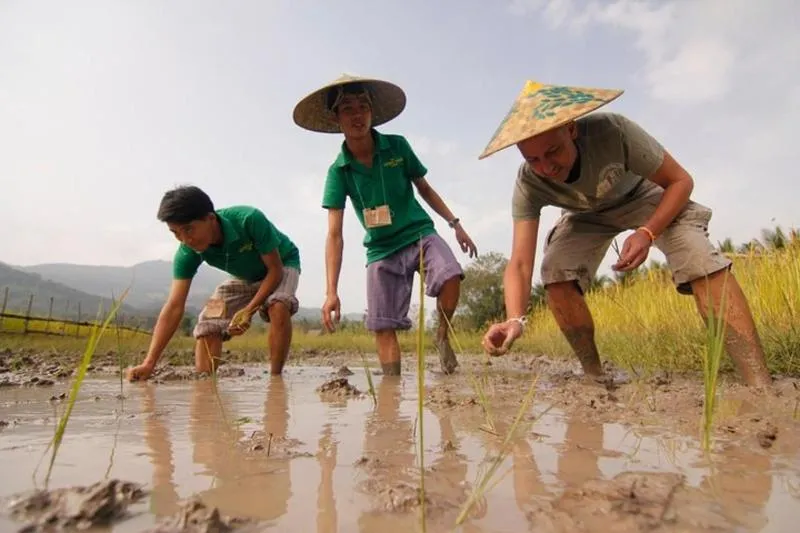 Featured tour with 2 reviews: Rice is Life Experience & Kuang Si Waterfall – Luang Prabang full day tour