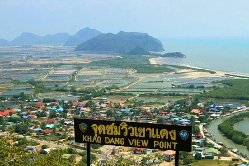 Mangrove Forest Hike and River Boat Ride with Private Guide from Hua Hin