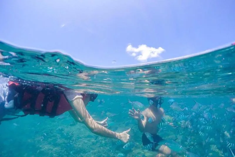 Featured tour with 3 reviews: Pig Island & Koh Tan Tour by Speed Boat (Snorkeling & Kayaking)