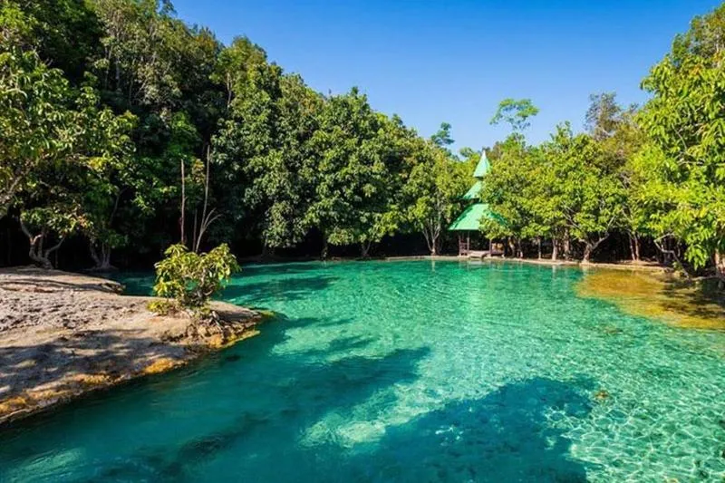 Featured tour with 40 reviews: Jungle Tour to Emerald Pool, Krabi Hot Spring and Tiger Cave Temple
