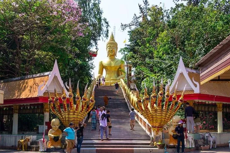 Price range for Market Tours from Pattaya from 102 THB to 8409 THB Price range for Market Tours from Pattaya from 102 THB to 8409 THB