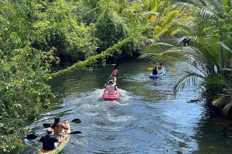 Best rated tour for Kayak Tours in Cambodia with an average score of 5 Best rated tour for Kayak Tours in Cambodia with an average score of 5