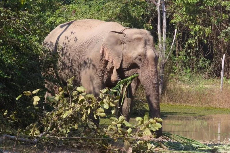 Tour of the Wildlife Rescue Center