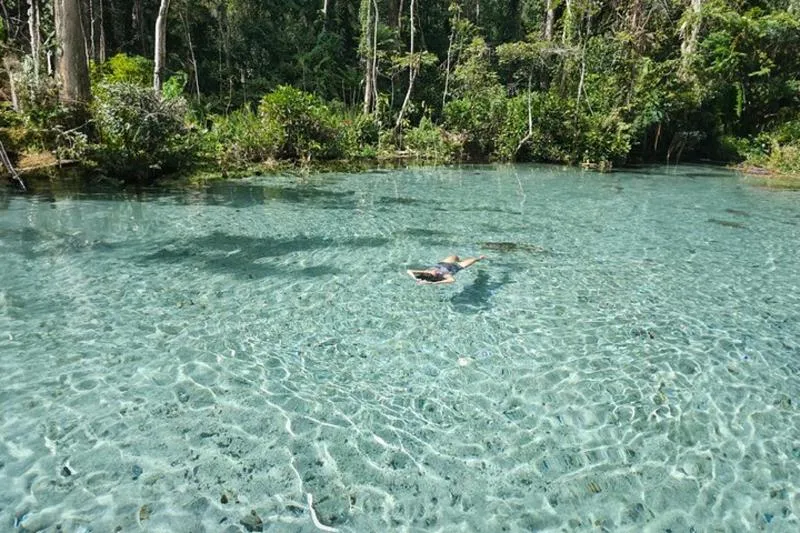 Featured tour with 30 reviews: From Khao Lak : Cheow Lan Lake & Nam Rad Emerald Pool