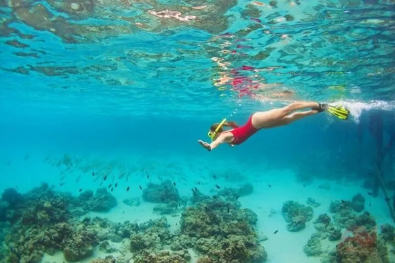 Popular Nha Trang Bay Tour from Nha Trang with 1,000 reviews