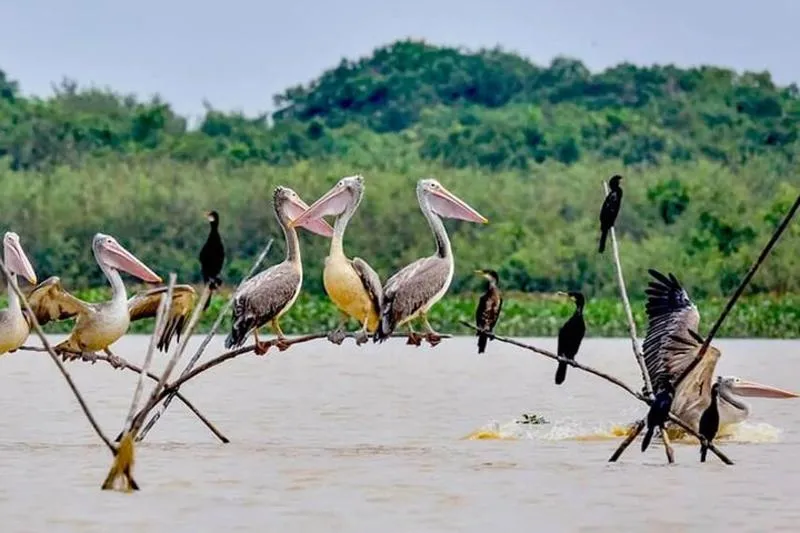 Best rated tour for Nature Tours in Cambodia with an average score of 5 Best rated tour for Nature Tours in Cambodia with an average score of 5