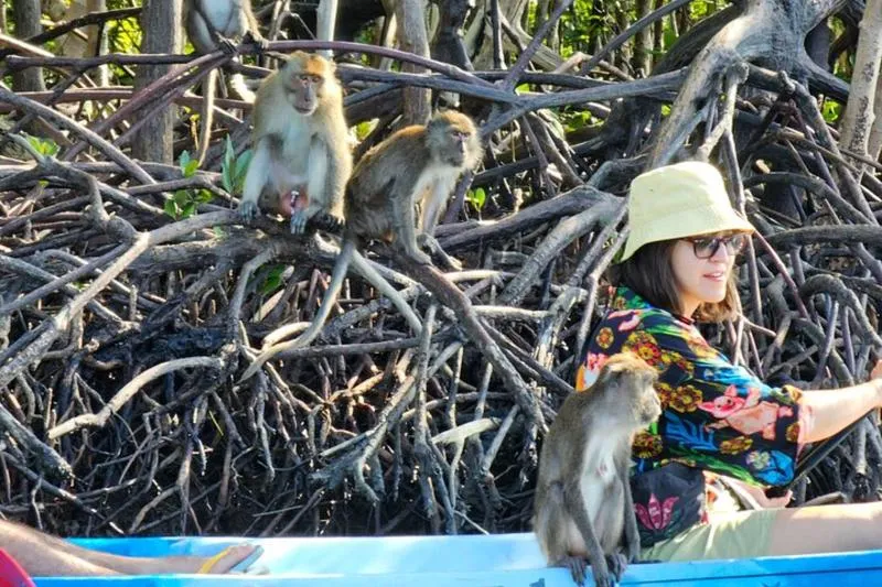 Half day Mangrove by Kayaking or Longtail boat from Koh Lanta by Booking from 770 THB