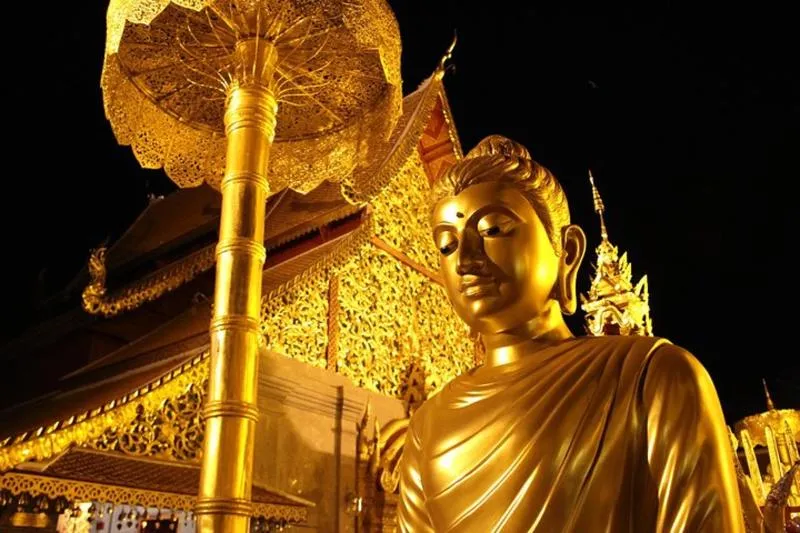 Featured tour with 211 reviews: Best seller!! Amazing Night tour, Doi Suthep + Wat umong – Top Must visit!