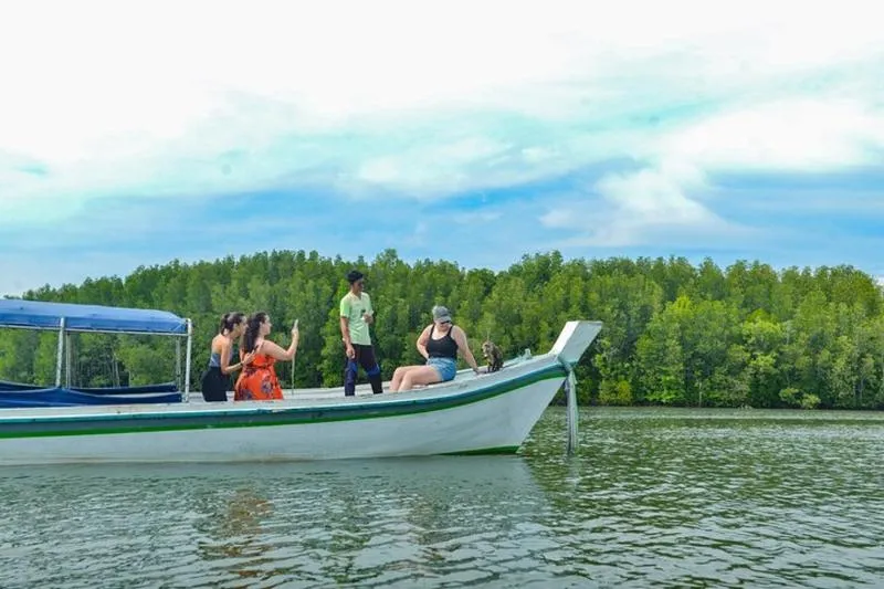 Featured tour with 8 reviews: Koh Lanta Mangrove and Monkey Point Longtail Boat Tour