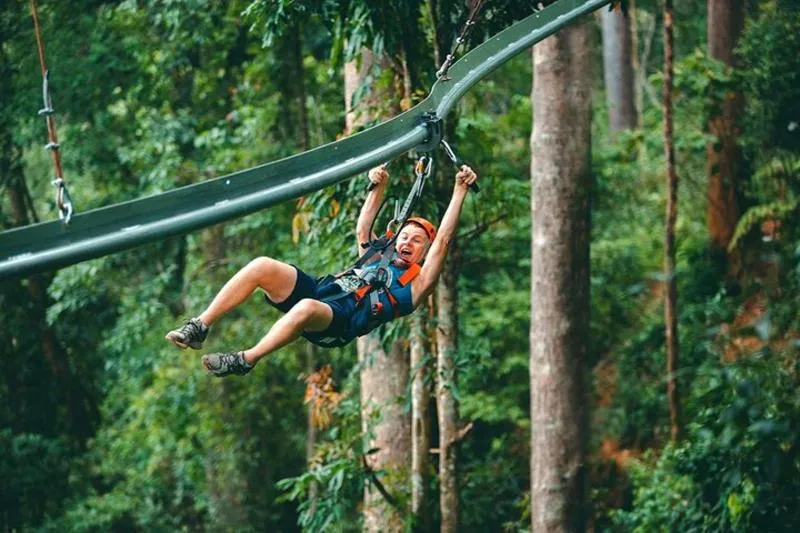 Best rated tour for Jungle Tours from Chiang Mai with an average score of 5 Best rated tour for Jungle Tours from Chiang Mai with an average score of 5
